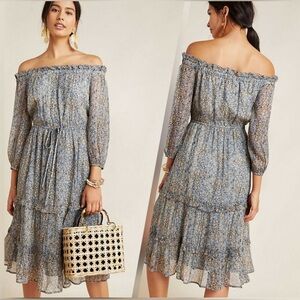 Anthropologie Kira Tiered Midi Dress Metallic Floral Girly Prairie S 6